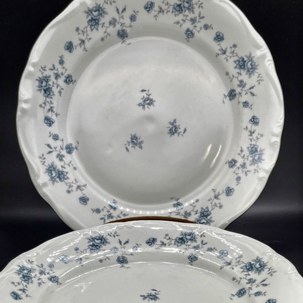 Set of 2 Johann Haviland Bavaria Germany Blue Garland 10” plates